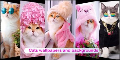 Girly wallpaper 截圖 3