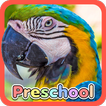 Wild Animal Preschool Games आइकन