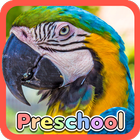 Wild Animal Preschool Games icon