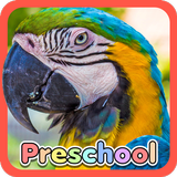 Wild Animal Preschool Games aplikacja