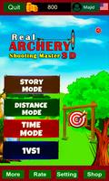 Real Archery Shooting Master 3d poster