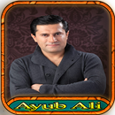 APK Ayub Ali ئەیوب علی