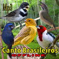 Canto de Pássaros Brasileiros