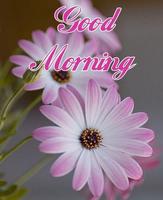 Good Morning flowers images Gif Affiche