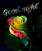 Romantic Good Night Love images Gif Plakat