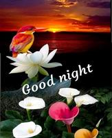 Romantic Good Night Love images Gif Screenshot 1