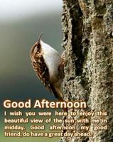 برنامه‌نما Good Afternoon عکس از صفحه