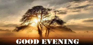 Good Evening Images Gif