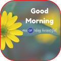 Good Morning GIFs