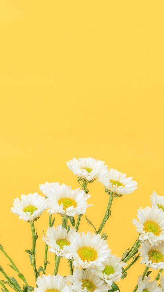 Pastel Wallpapers For Android Apk Download