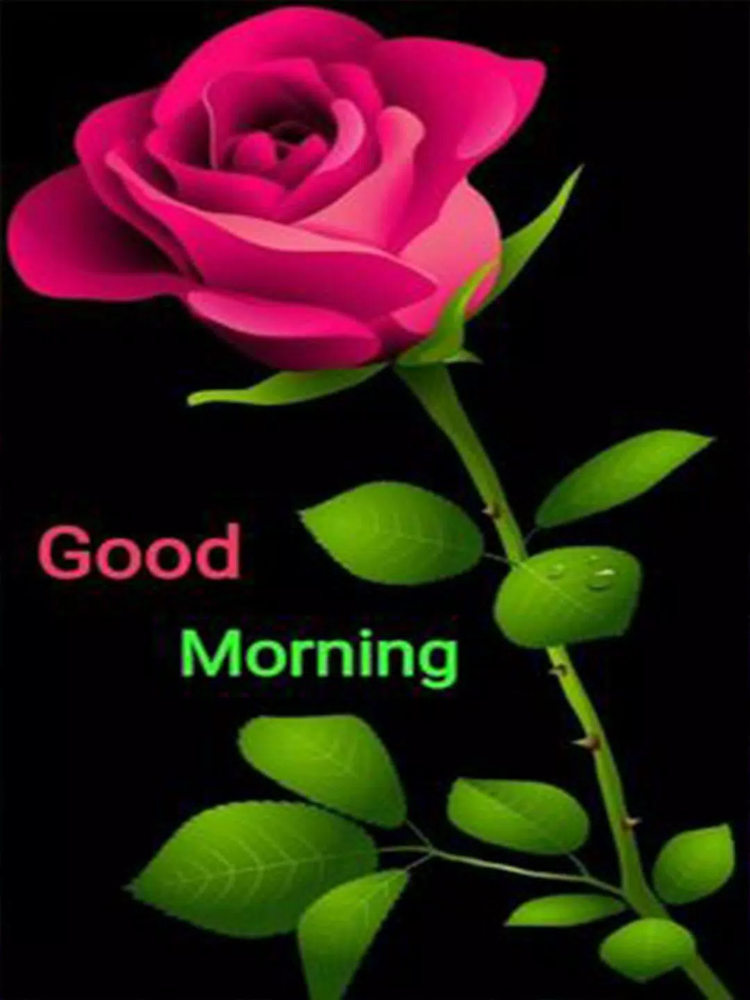 Good Morning Flowers Images GIF APK for Android Download