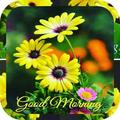 Good Morning Flowers Images