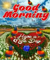 Good Morning images GIF पोस्टर