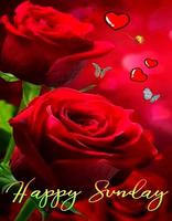 Good Morning images GIF स्क्रीनशॉट 2