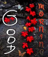 Good Morning images GIF स्क्रीनशॉट 3