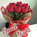 Good Night 2020