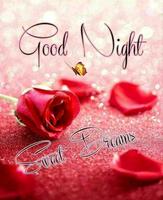 Good night images স্ক্রিনশট 2