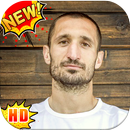 Giorgio Chiellini Wallpapers APK