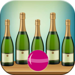 Shoot The Bottle - Shooting Ga