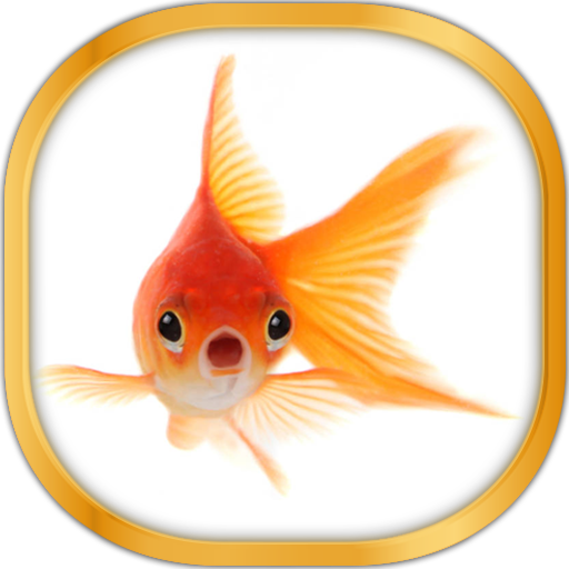 Gold Fish Live Wallpaper