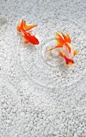 Gold Fish Live Wallpaper 스크린샷 1