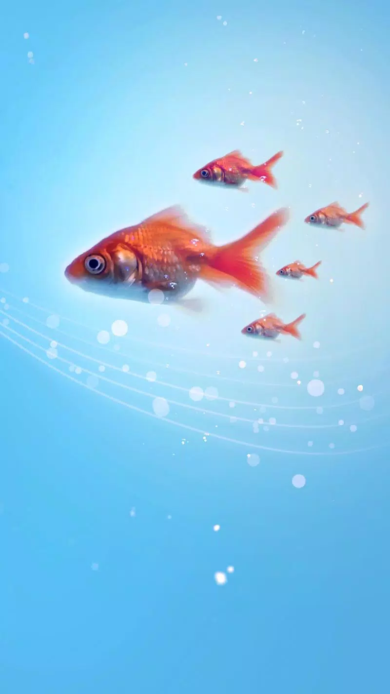 Android向けの金魚ライブ壁紙 Apkをダウンロードしましょう