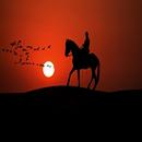 رواية قلب يونس كاملة APK