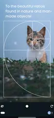 Golden Ratio Camera. 1.618 app XAPK download