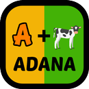 Bil Bakalım! APK