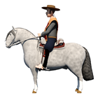 Rodeo Chileno icon