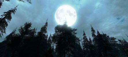 برنامه‌نما VR Scary Forest عکس از صفحه