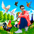 Bird photo editor and frames