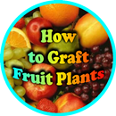 Fruits Tree Graft APK
