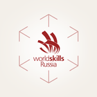 WorldSkills ФНЧ 2021 アイコン