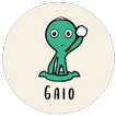 Gaio