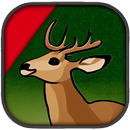 Animal Run APK