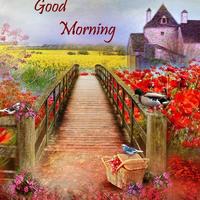 Good Morning Wishes imagem de tela 2