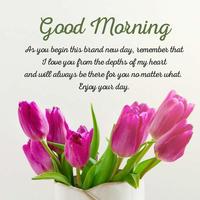 Good Morning Wishes Cartaz