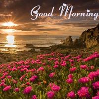 Good Morning Wishes imagem de tela 3