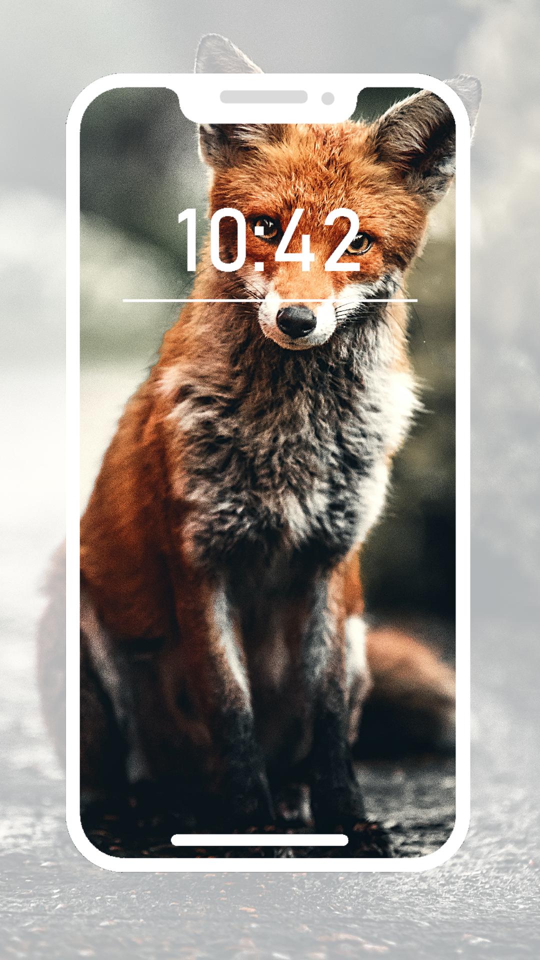 Fox Wallpapers APK for Android Download