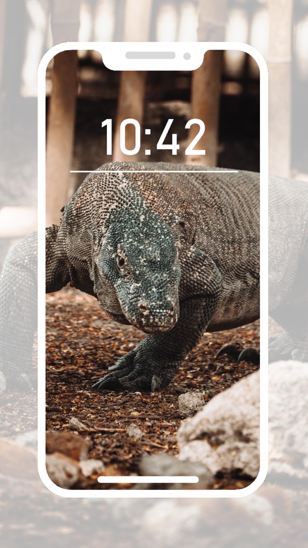 Android 用の Komodo Dragon Wallpapers Apk をダウンロード