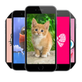 Cute Wallpapers free