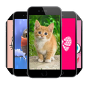 APK Cute Wallpapers free