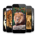 APK Lion HD Wallpapers