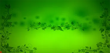 Green Wallpaper HD