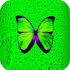 Descargar APK de Green Wallpaper HD