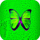 Green Wallpaper HD icono