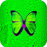 Green Wallpaper HD icon