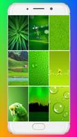 Green Wallpaper HD plakat