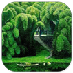 Green Nature Wallpaper